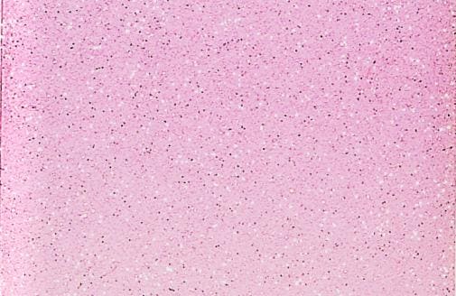 3M(TM) Scotchcal(TM)Glass Finish, Frosted Pink 7725-323