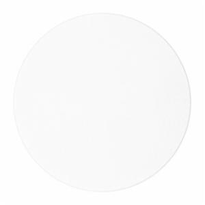 3M™ Lapping Film 268X, 0.30 Micron PSA Disc, 10 in x NH, 50/Inner, 200/Case image 3M™ Lapping Film 268X, 0.30 Micron PSA Disc, 10 in x NH, 50/Inner, 200/Caseimage