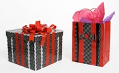 Colors & Patterns Projects -  Present and Bag