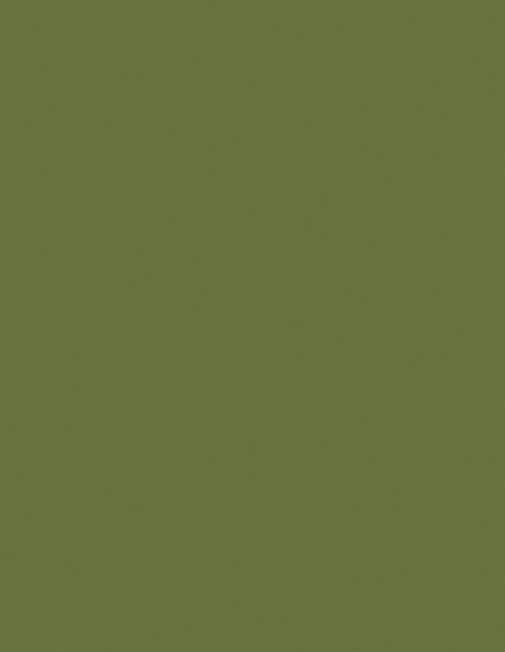461X-468X-LF-Green-Sheet-30mic.jpg