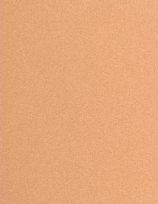 DLF-Orange-Sheet-15mic.jpg