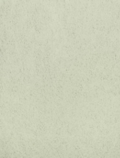 3M(TM) WetorDry(TM) Polishing Film 281Q Sheet, Light Green