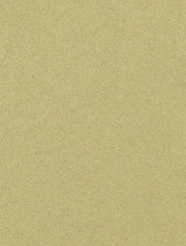 ™ Diamond Lapping Film 663X