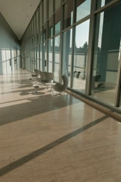 3M(TM) Exterior Prestige