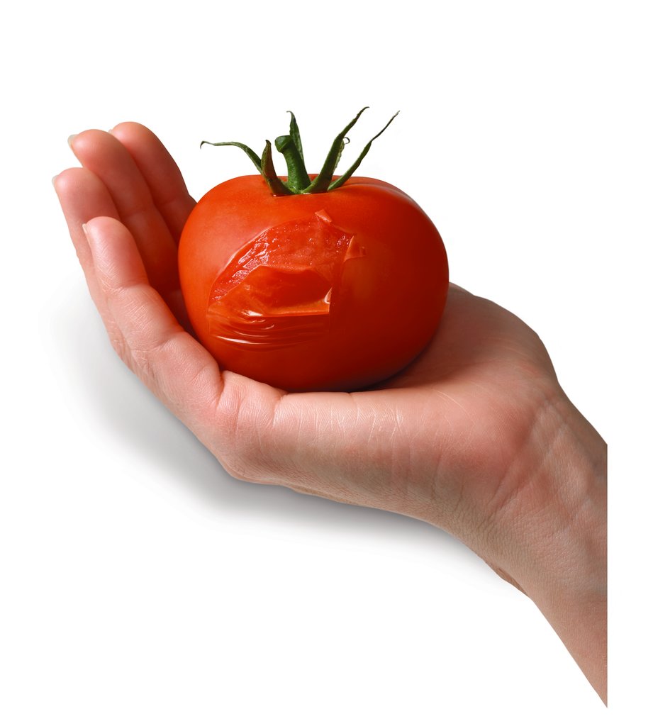 Hand holding tomato with skin rip, used for Tegaderm Skin tear