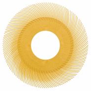 Scotch-Brite™ Bristle radiale Einzelsegmente BB-ZB Typ C | |