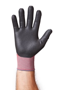 EMD-General-Use-Gloves-prod003-rgb.tif
