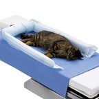 3M Bair Hugger Animal Health Blanket Model 53077