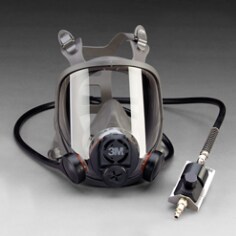 6DINDUAL.TIF